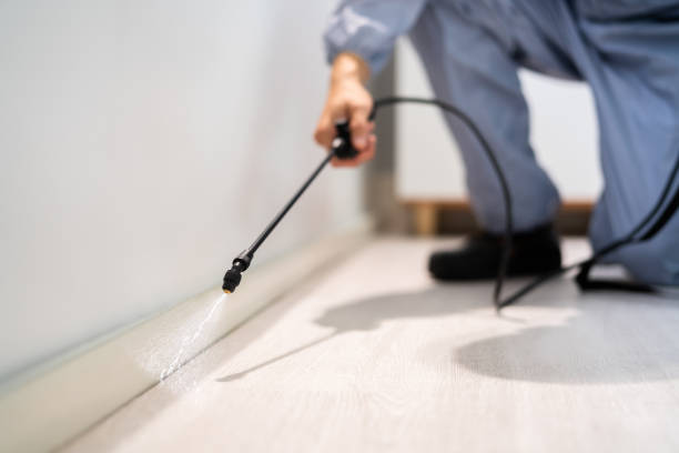 Professional exterminator conducting IPM assessment in Avonmore
